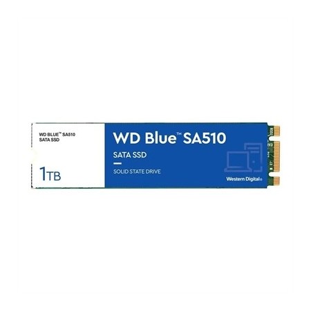WD Blue SA510 WDS100T3B0B...
